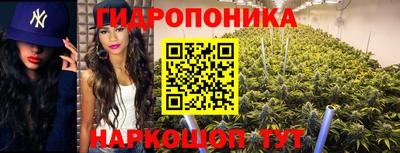 молекула духа Усть-Илимск